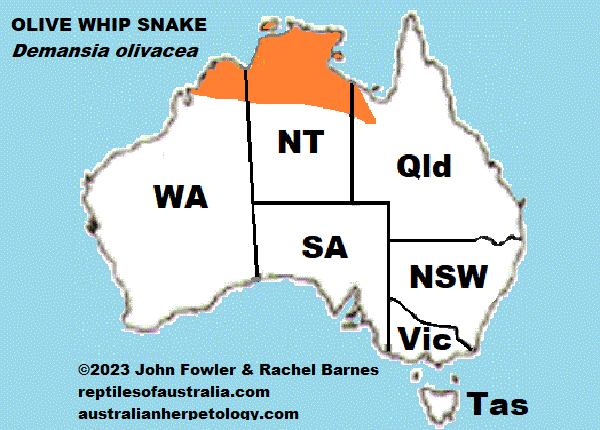 Approximate distribution of the Olive Whipsnake (Demansia olivacea)