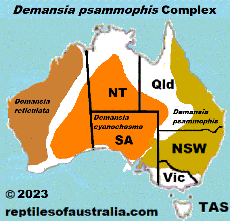 Updated distribution of the Demansia psammophis complex changed in 2023