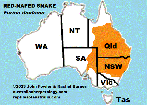 Reptiles of Australia