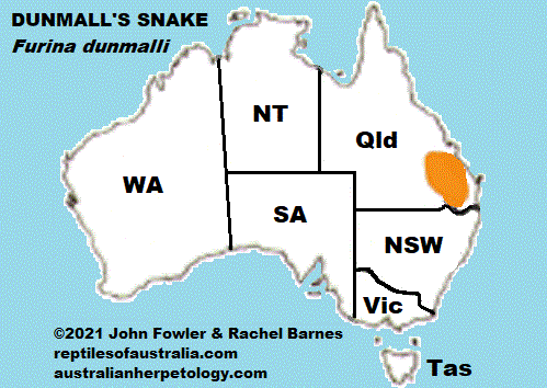 Approximate distribution of of Dunmall's Snake (Furina dunmalli) map