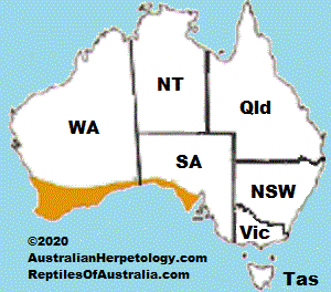 DUGITE - Pseudonaja affinis map