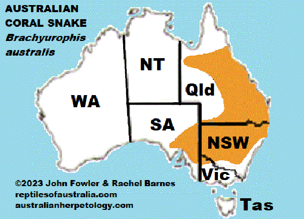 Australian Coral Snake Brachyurophis australis distribution map