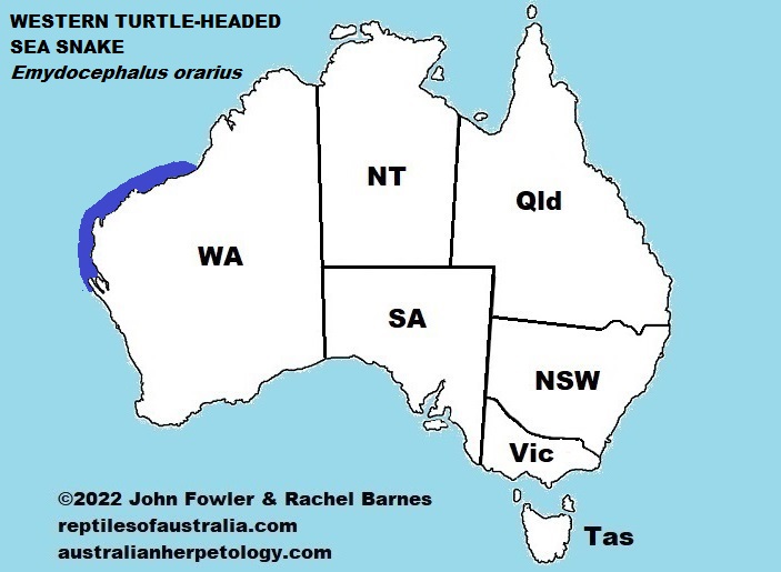 Approximate distribution of the Western Turtle-headed Sea Snake (Emydocephalus orarius)
