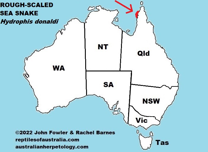 The distribution of the Rough-scaled Sea Snake (Hydrophis vorisi) in Australia waters is uncertain, use this map with care!