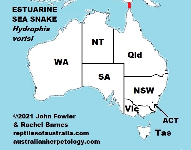 The distribution of the Estuarine Sea Snake (Hydrophis vorisi) in Australia waters is uncertain, use this map with care!