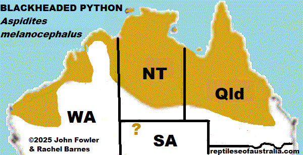 Approximate distribution of the Blackheaded Python Aspidites melanocephalus