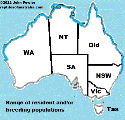 GREEN TURTLE chelonia mydas THE REPTILES OF AUSTRALIA map