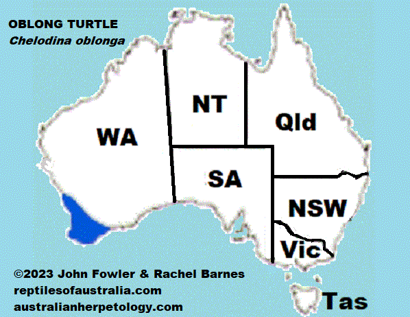 OBLONG TURTLE,Narrow-breasted Snake-necked Turtle,Chelodina oblonga Reptiles of Australia didtribution map 