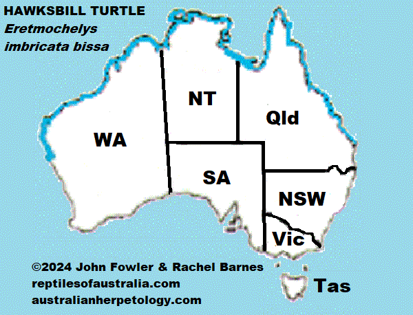 Map of Australian resident populations of Indo-Pacific Hawksbill Turtle (Eretmochelys imbricata bissa)