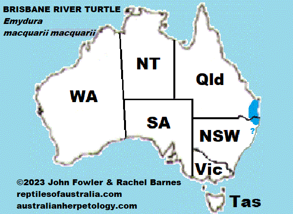 Distribution map - BRISBANE RIVER TURTLE - Brisbane Short-necked Turtle - Emydura macquarii macquarii - Emydura macquarii signata Reptiles of Australia