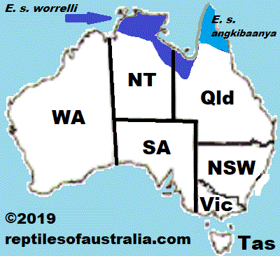 Reptiles of Australia